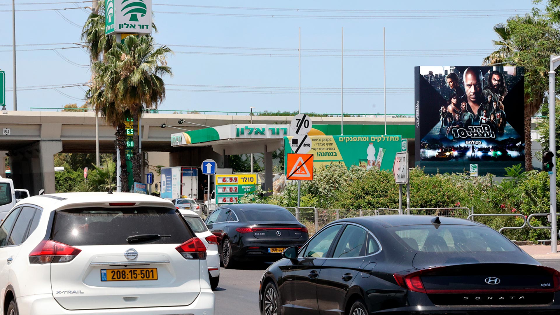 קמפיין טוליפ מהיר ועצבני | מסובים 202