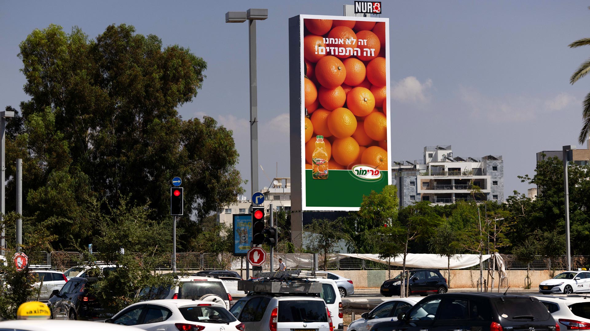 קמפיין פרימור | ההלכה 531